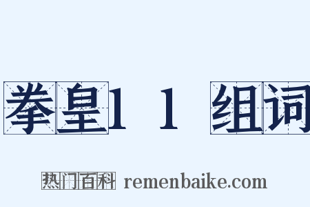 拳皇11组词是什么意思的图片
